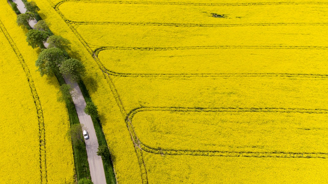 Öppet brev: Gruvbolagen är ett hot mot svensk natur 