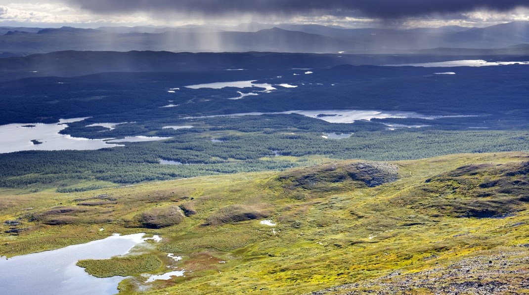 Pieljekaise nationalpark. En nationell plan för biologisk mångfald och medel för skydd av värdefull natur finns med bland WWF:s 24 frågor till riksdagspartierna.