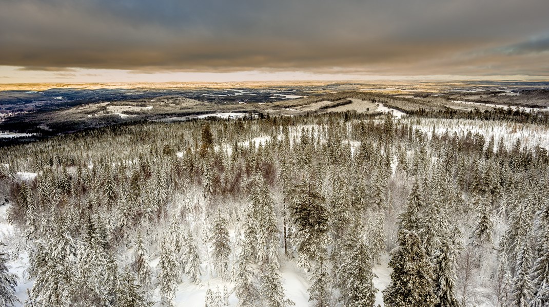 Här är årets mest lästa debatter på Altinget Miljö och Energi