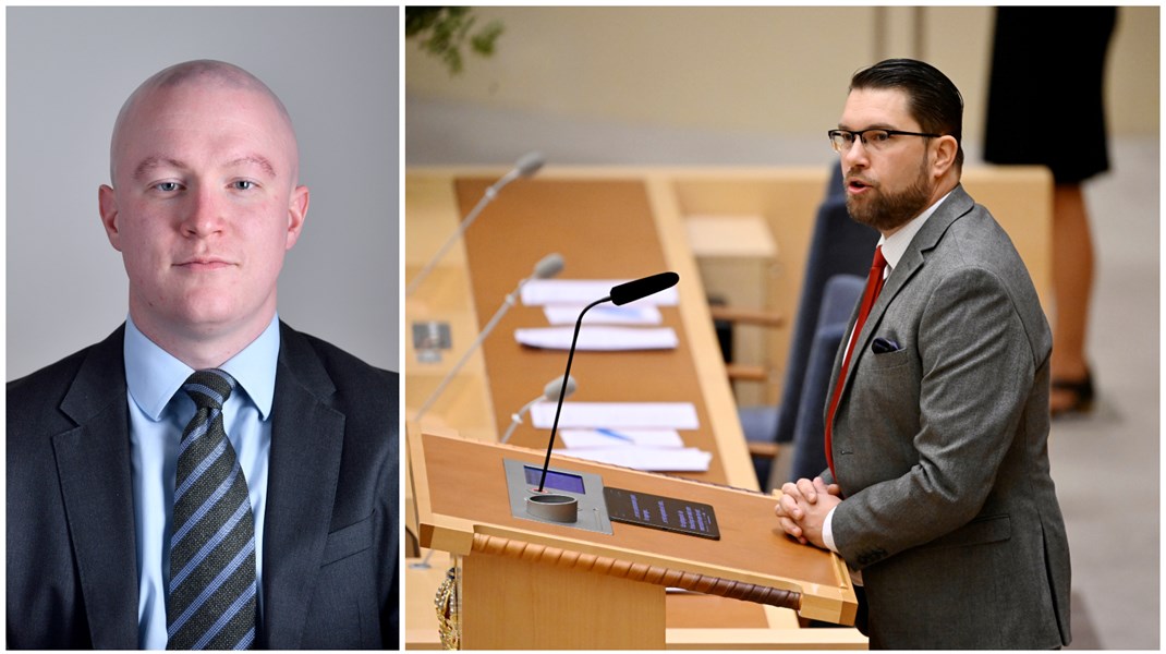 SD förnekar kartläggning av civila samhällets finansiering