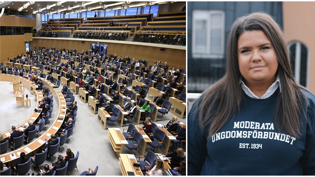 Enligt riksdagens årsredovisning kostar det skattebetalarna 700 miljoner årligen att ombesörja 349 ledamöter med löner, boende, resor och pension, och då är inte ens de administrativa kostnaderna medräknade. Skattepengar som hade kunnat gå till annat, skriver Matilda Ekeblad.