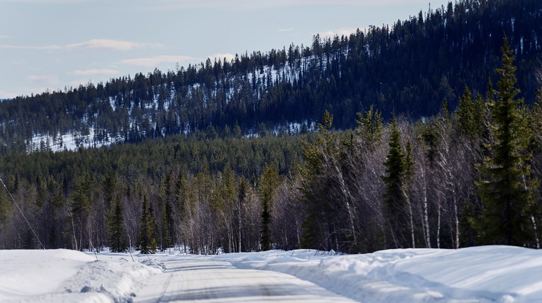 Missuppfattningar om den norrländska skogen styr naturvårdsdebatten 