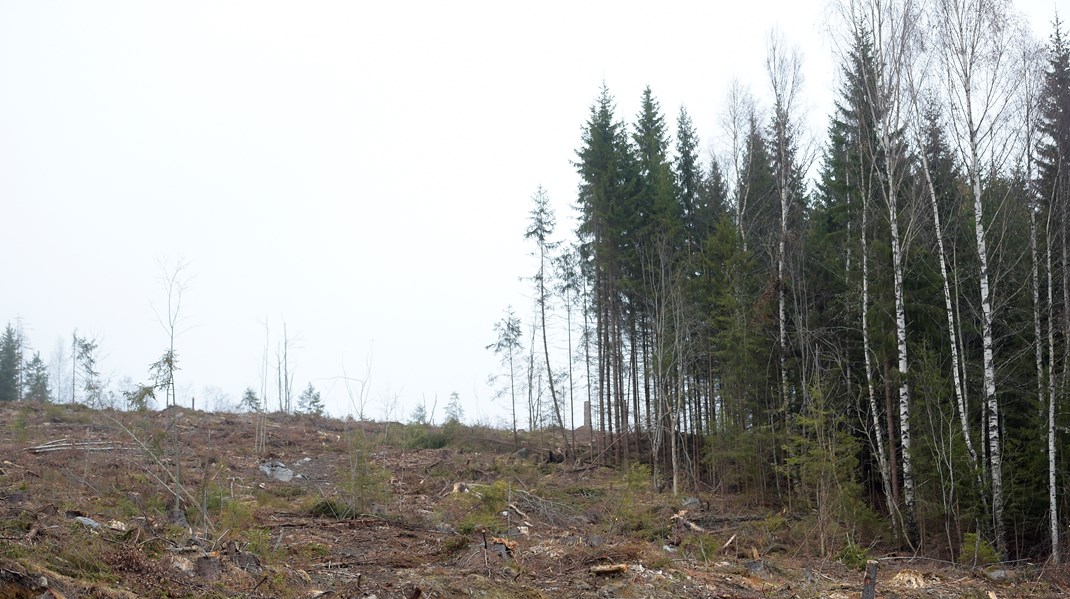 Replik: Dra inte förenklade slutsatser om den norrländska skogen