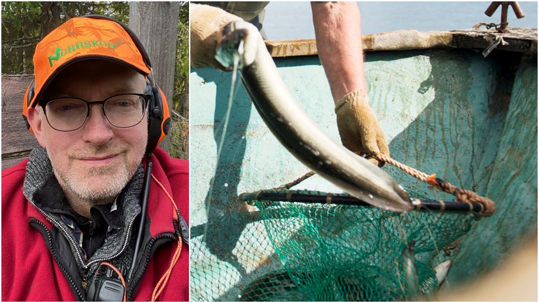 Fiskefrågan har varit särskilt uppmärksammad på sistone efter att Ulf Kristerssons statssekreterare dömts för tjuvfiske av ål. ”Det är klantigt hanterat. Speciellt av statsministern om han visste om det han visste. Det är väldigt tydligt vilka arter man får jaga och fiska”, säger jakt- och fiskeklubbens ordförande Isak From (S).