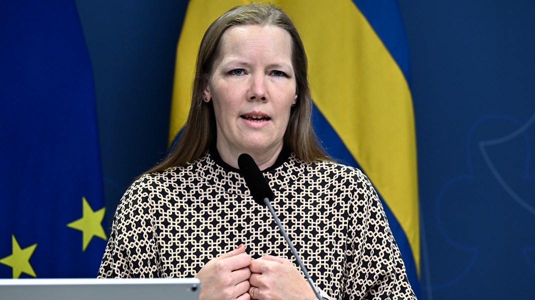 Hon ska utreda haverikommission för självmord