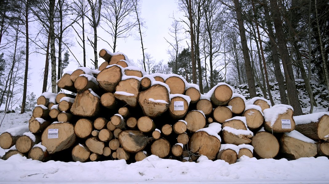 Skulle vi omgående helt avstå från skogsavverkning skulle kolskulden vara betald på hundra år, skriver debattörerna.