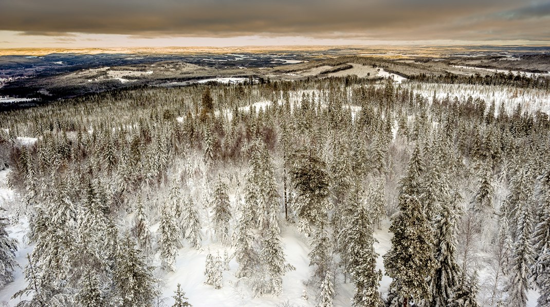 Klart är att vi behöver ta vara på den tid vi har. För nu är det vår stund på jorden, sa Vilhelm Moberg som debattörerna i sin tur citerar.