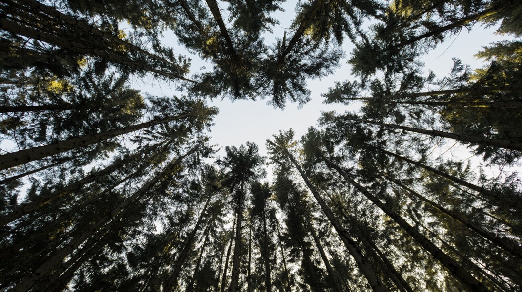 WWF anser att agerandet är anmärkningsvärt