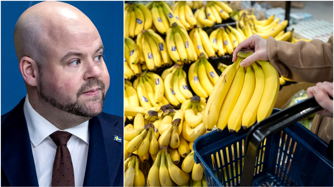 Det är ännu inte säkert att Sverige kommer använda sig av skolfruktsstödet i framtiden. I november ska Jordbruksverket lämna ett underlag till landsbygdsminister Peter Kullgren (KD), som sedan fattar beslutet.