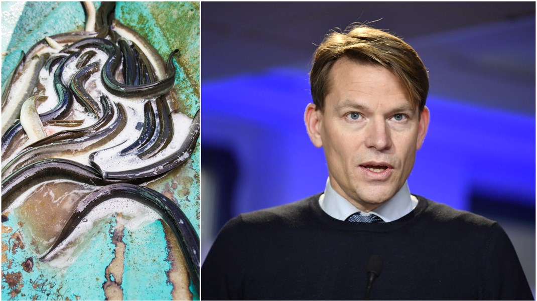 Förundersökning mot PM Nilsson läggs ner