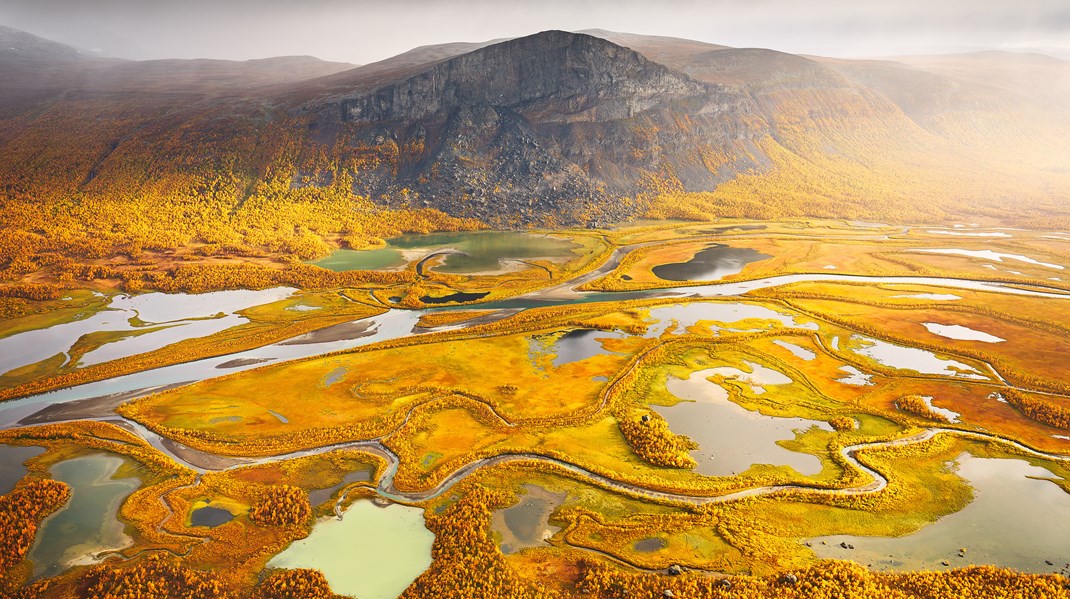 Utsikt över Rapadeltat, fotograferat av Årets naturfotograf – Magnus Lindholm. 