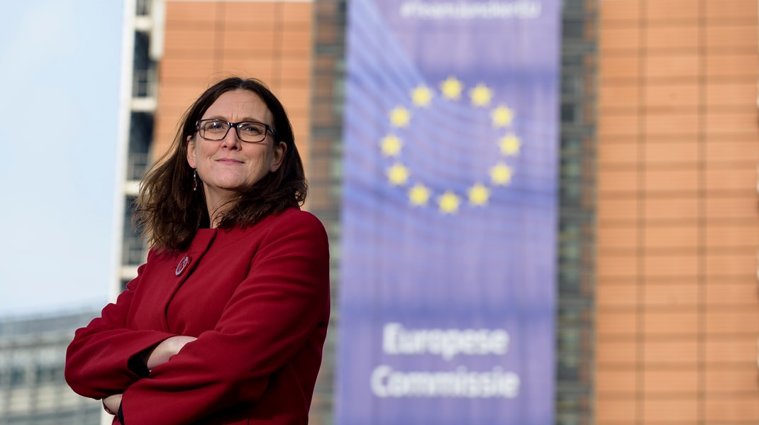 Cecilia Malmström, tidigare EU-parlamentsledamot, tror att parlamentarikerna väljer utskottsplatser där de ”kan göra något som man sedan kan presentera”. 