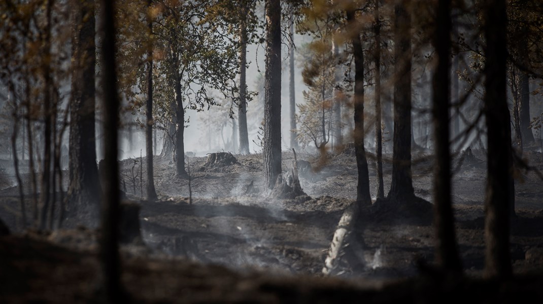 Klimatanpassning inte bara en fråga för kommuner och fastighetsägare