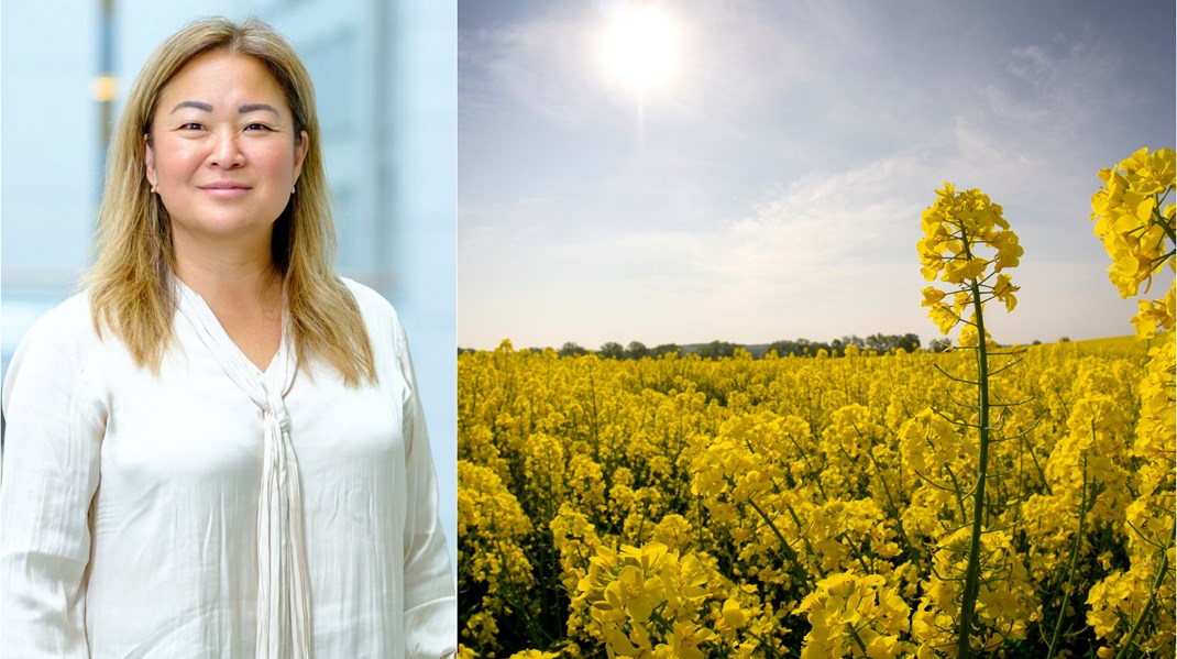 MP måste ge upp motståndet mot teknisk utveckling