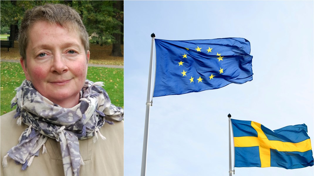 EU-förslaget leder tankarna i en dystopisk riktning