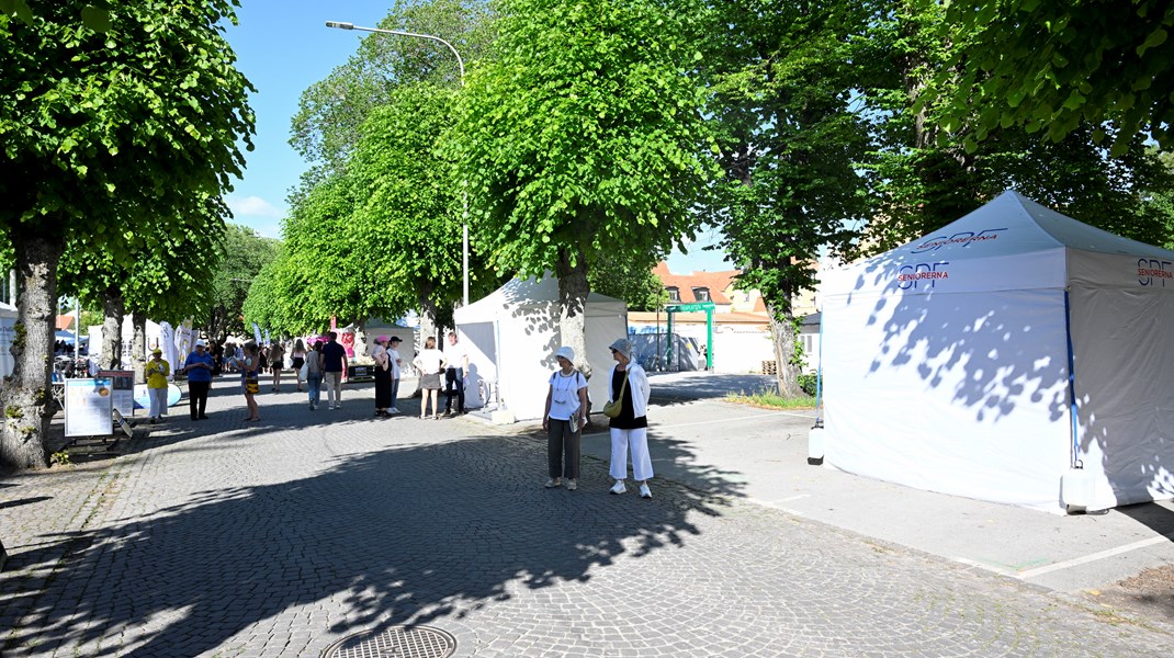 Här är punkterna du inte får missa under Almedalen