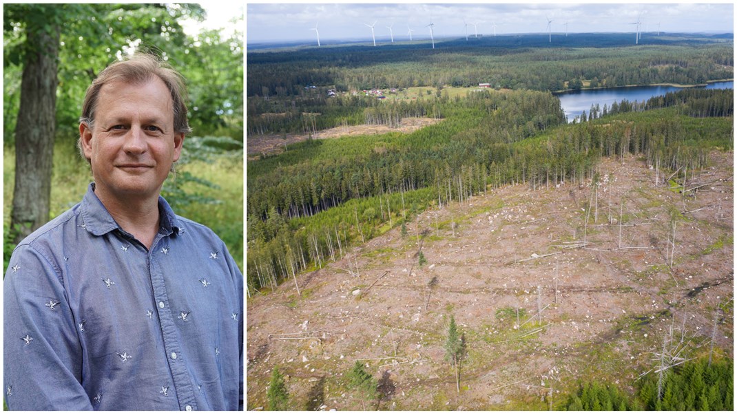 Svenskt skogsbruk påminner mer om virkesåkrar än levande skogar, oavsett vilken bild Skogsstyrelsens generaldirektör Herman Sundqvist försöker förmedla på sociala medier, skriver Carl Schlyter.