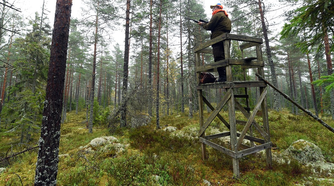 Replik: En ny jakt- och viltvårdsmyndighet inte en intresseklubb för skjutglada jaktfanatiker