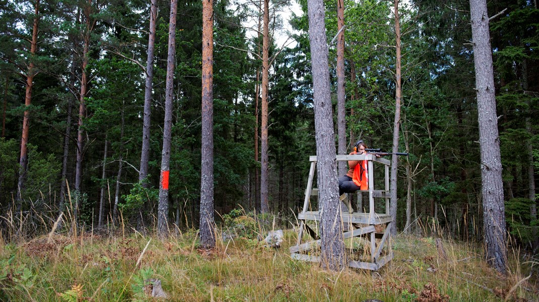 Replik: Häpnadsväckande oseriöst om nya jakt- och viltvårdsmyndigheten