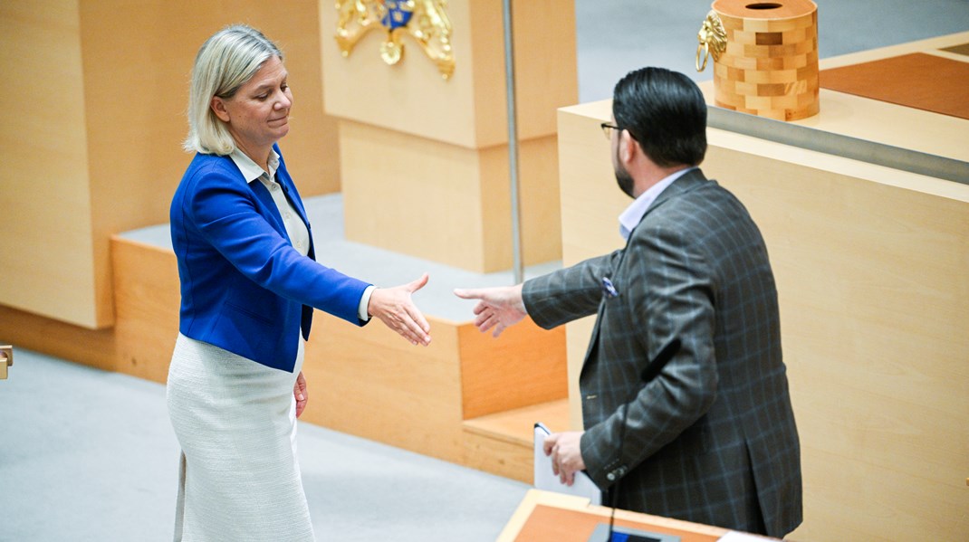 Både Magdalena Andersson (S) och Jimmie Åkesson (SD) kan vänta sig tillskott i partikassorna efter årsskiftet.