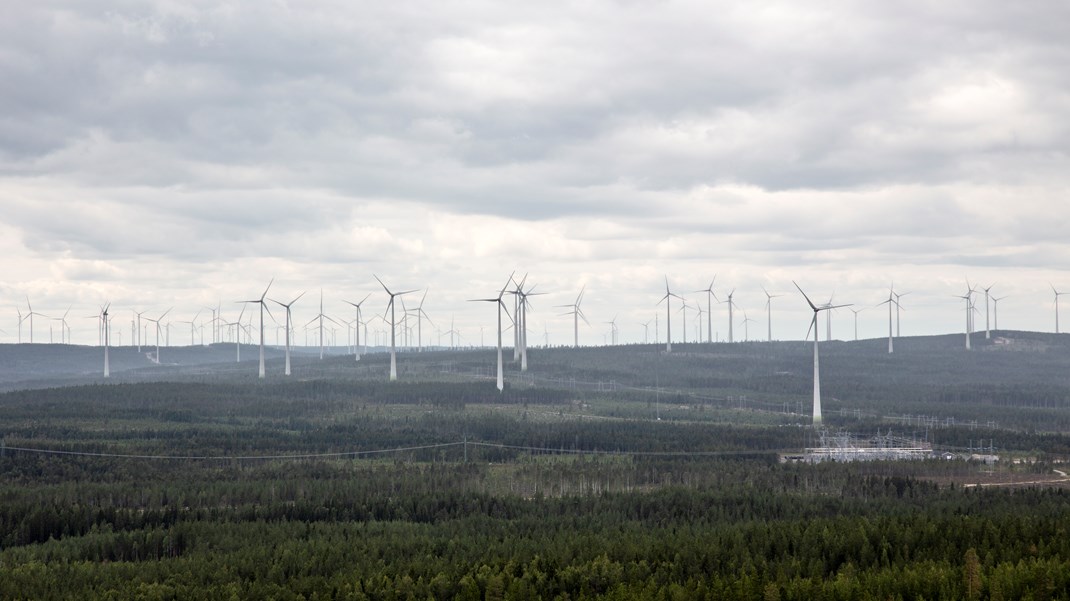 Vindkraftspark i Piteå. I Orsa är det totalt 37 vindkraftverk som invånarna ska ta ställning till i en folkomröstning i juni nästa år.