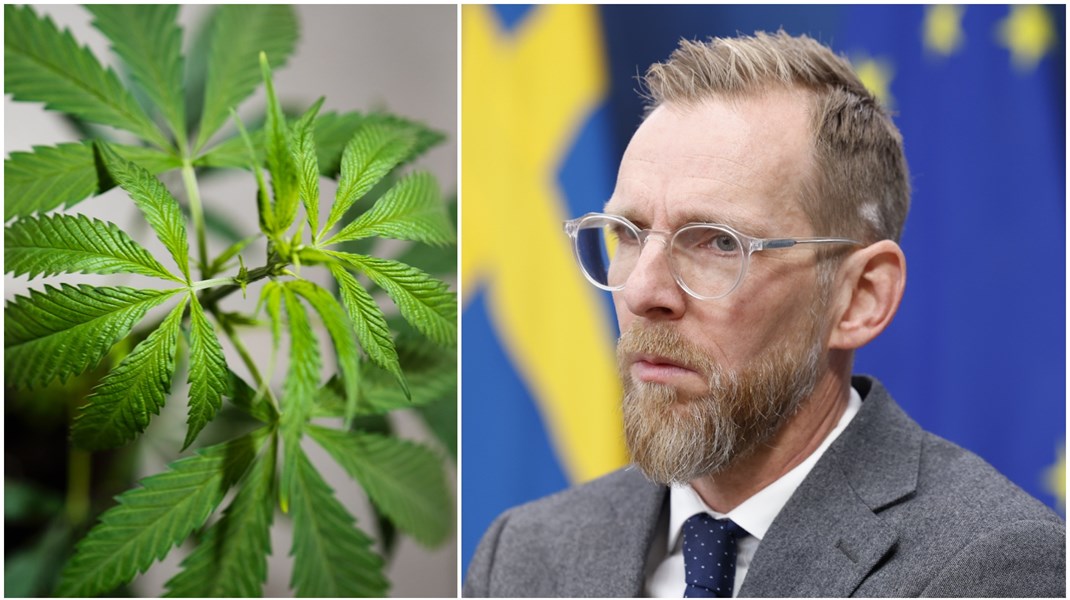 ”Jakob Forssmed förstår att Tysklands beslut kan få negativa konsekvenser för Sverige och andra EU-länder, men verkar stå handfallen när det gäller att agera.” 