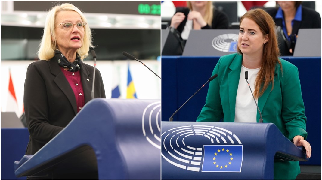 15 av EU-parlamentets 705 ledamöter ingår i den delegationen som ska åka på klimattoppmötet i Dubai – Heléne Fritzon (S) och Emma Wiesner (C) är två av dem. 