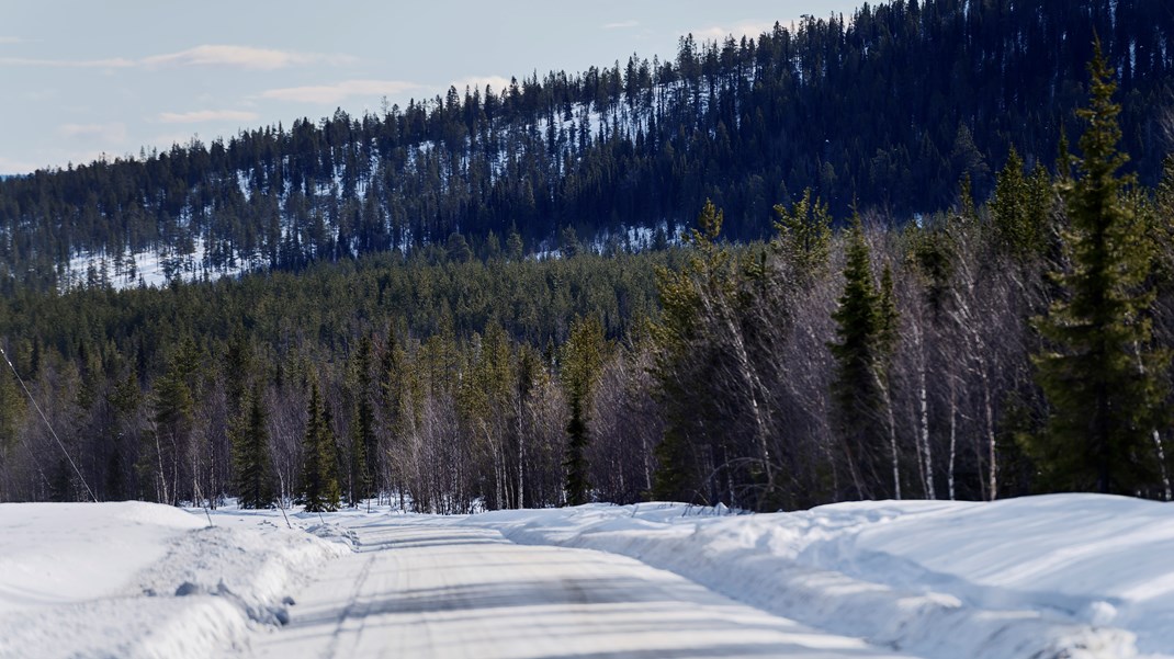 Skogsstyrelsen och Naturvårdsverket måste dra tillbaka den nya skogsrapporten