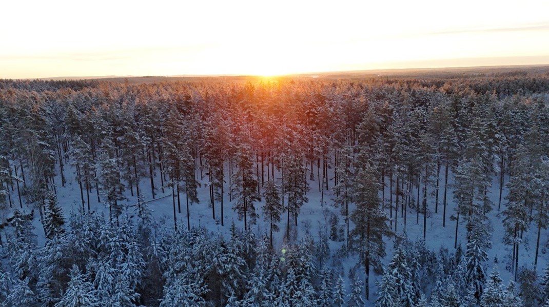 Som skogsägare är jag bekymrad