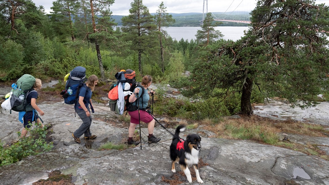 Öka ungas krisberedskap genom praktisk övning