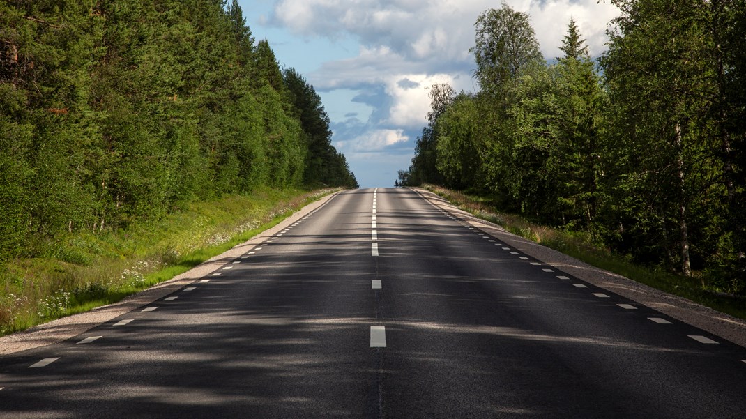 Skogen kan göra mer klimatnytta