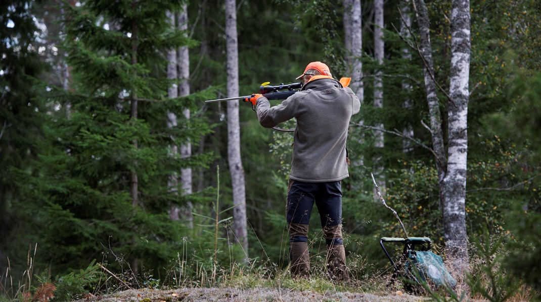 Vi har under flera år påpekat behovet av enklare beslut som möjliggör jakt, skriver Jägarnas riksförbund.