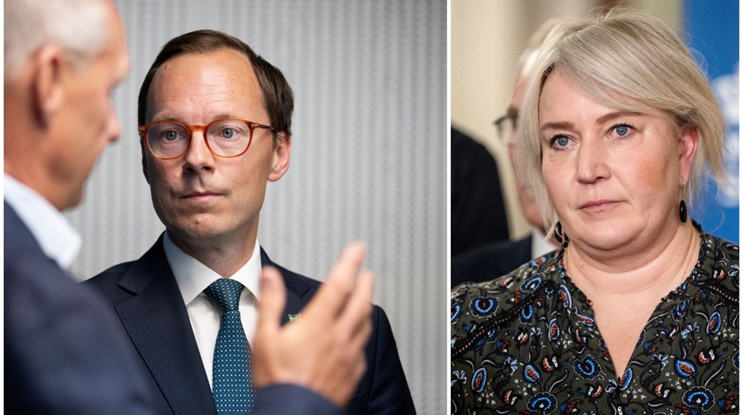 Utbildningsministern blickar mot Danmark för högskoleväsendets utveckling