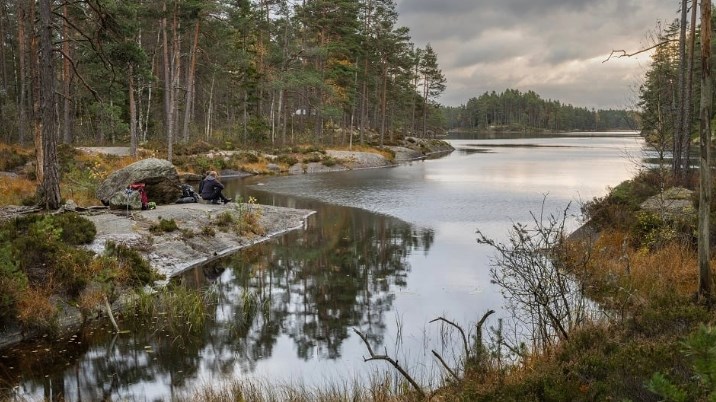 Naturvårdsverket: Tufft att klara skötseln av skyddad natur