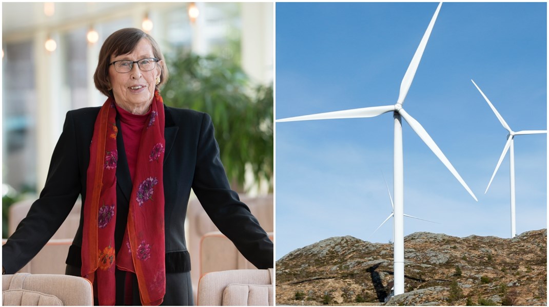 Den tidigare miljö- och energiministern Birgitta Dahl (S) är en av dem som har påtalat den starka mansdominansen i energisektorn.