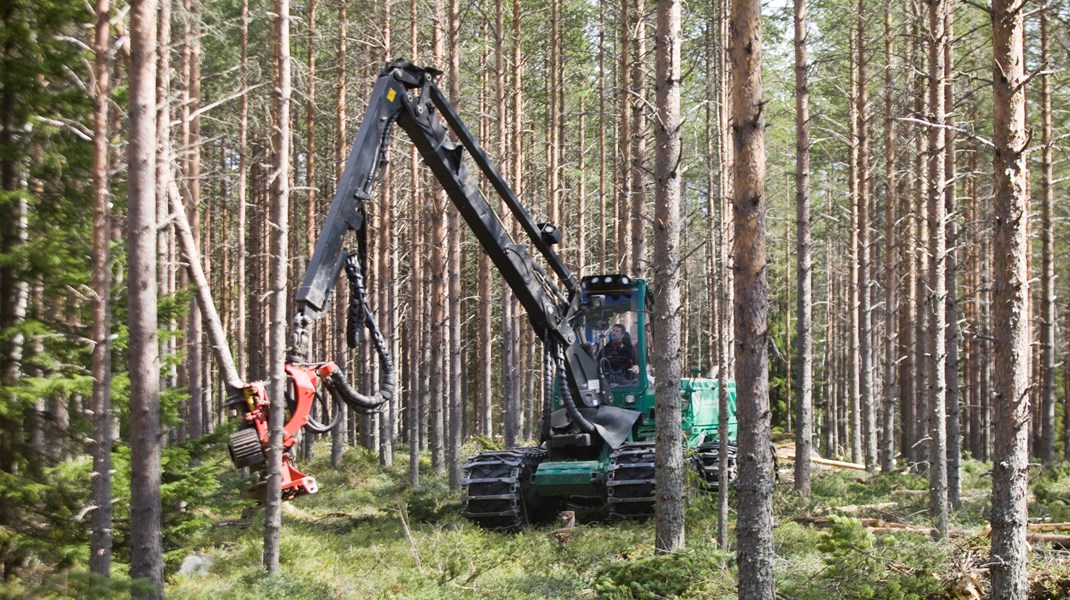 ”I stället för att försöka bedriva ett effektivt tillsynsarbete för att upprätthålla naturvård och artskydd har myndigheten försämrat förutsättningarna för detta, bland annat genom förtida avregistreringar av nyckelbiotoper och ändrade kriterier för automatgranskningen”, skriver Jan Darpö. 