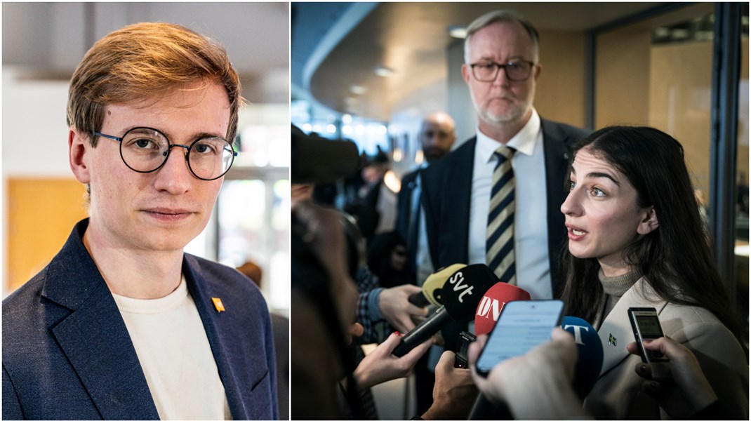 Luf: Klimatfrågan avgörande för Liberalernas framtid