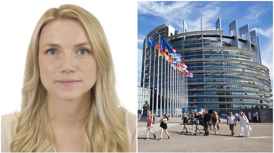 SD: EU:s toppstyrning förstör för svenska bönder och skogsägare