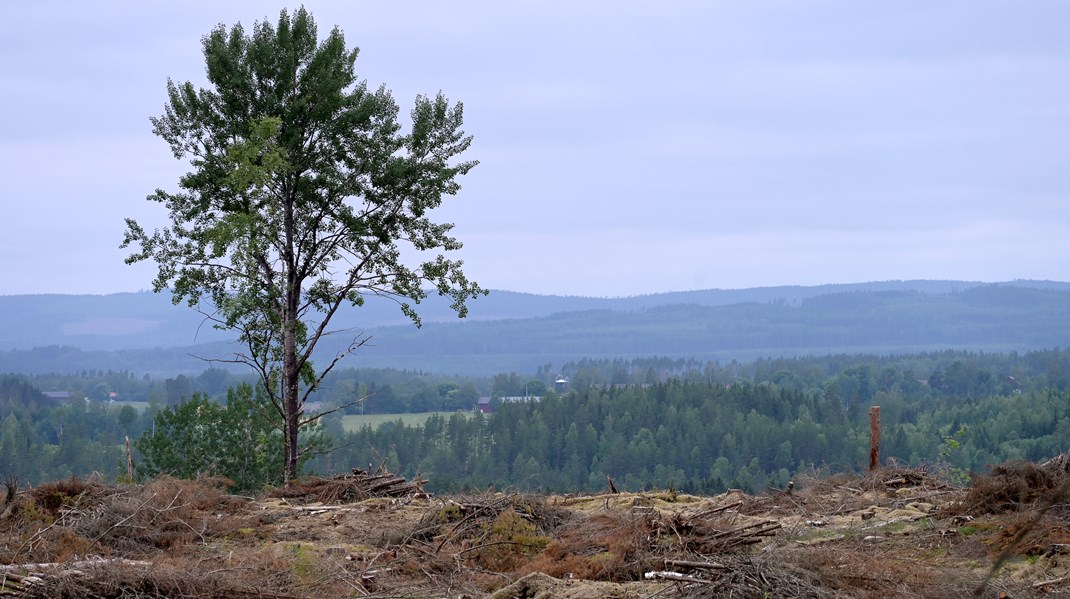 Replik: Sluta skrämma upp allmänheten, Sten B Nilsson 