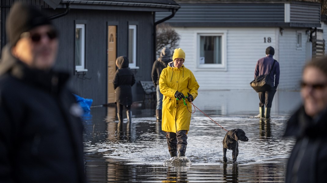 Regeringen utreder klimatanpassning – men får inte kosta för staten