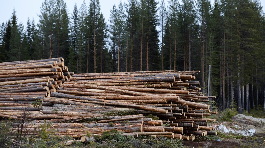 ”Domstolarna måste ges möjlighet att ta hänsyn till om en bedömning av hotstatus eller behov av hänsyn vilar på solida objektiva data eller på mer lösa bedömningar”, skriver debattörerna.