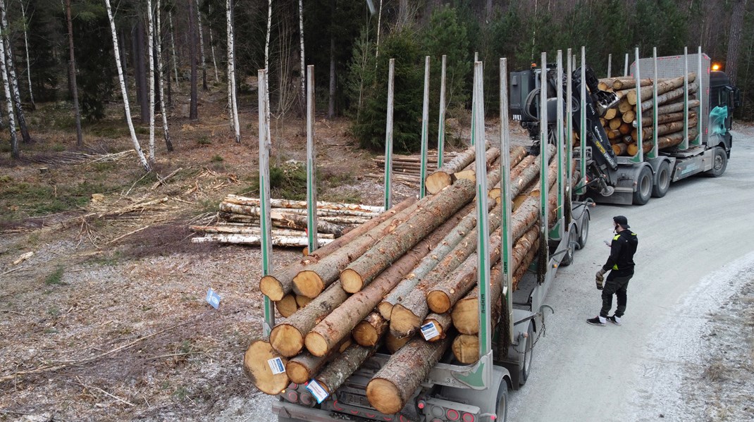 ”De gröna näringarnas behov av att kunna rekrytera utländsk personal grundar sig i en stor brist på arbetskraft inom alla yrkeskategorier, där djurskötare, maskinförare och skogsarbetare sticker ut särskilt”, skriver debattören. 