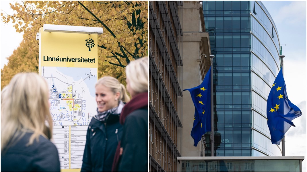 Under månaderna som kommer väntas EU genomföra antagningsprov till jobb inom EU-institutionerna – men svenskar är ovana vid processen. Under EU Boot Camp i Växjö ska deltagarna få information och träning i hur man förbereder sig för proven. 