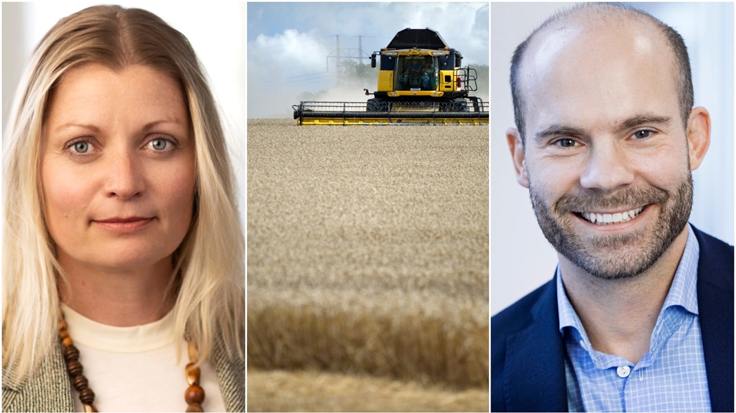 ”Sverige har goda förutsättningar att öka produktionen av grödor som är bättre anpassade till svenska odlingsförutsättningar”, skriver debattörerna.