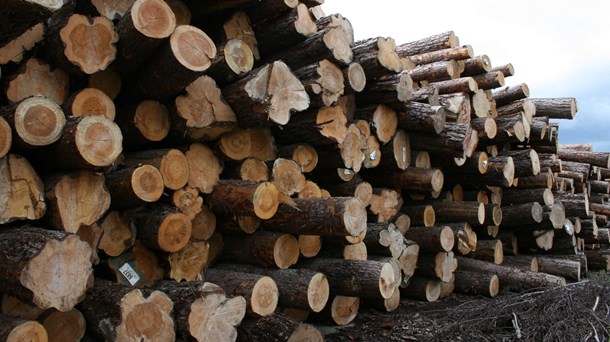 Både Naturvårdsverket och länsstyrelsen ser en ökad risk att värdefull skog ska avverkas under den paus i inventeringen av nyckelbiotoper i nordvästra Sverige som Skogsstyrelsen har beslutat om.