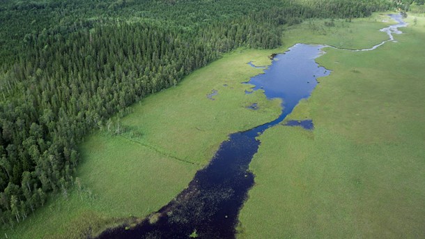 Venakärrets naturreservat, Nora kommun, Örebro län.