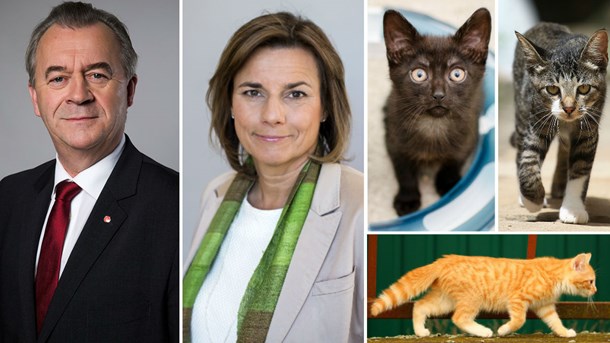 Kattöverenskommelsen. Sven-Erik Bucht och Isabella Lövin valde att lägga stort fokus på kattfrågorna när man på tisdagen meddelade att man nu ska presentera en ny djurskyddslag.